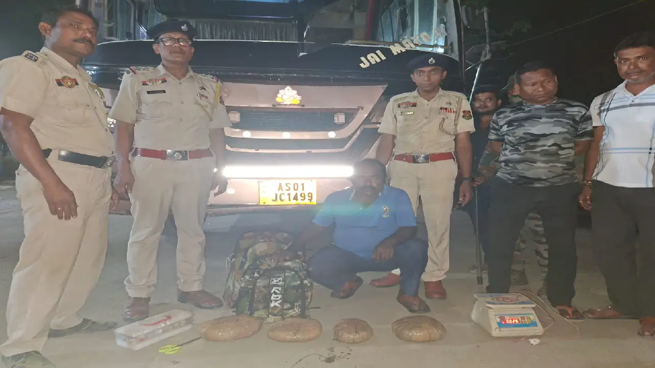 চুরাইবাড়ি নাকা চেকিংয়ে ধরা পড়লো গাঁজা!আটক পাচারকারী