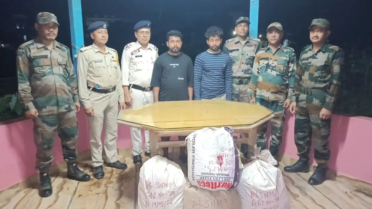 বিজেপি শাসিত ত্রিপুরায় বেজিমারা কলোনি থেকে বিপুল পরিমাণ গাঁজা উদ্ধার ।