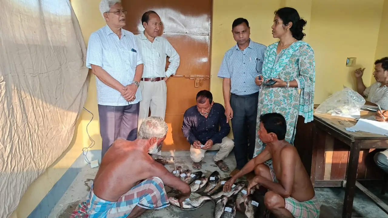 শুভ নববর্ষে মৎস্য দপ্তরের উপহার: উদয়পুরে সরকারি ন্যায্যমূল্যে মাছ বিক্রি