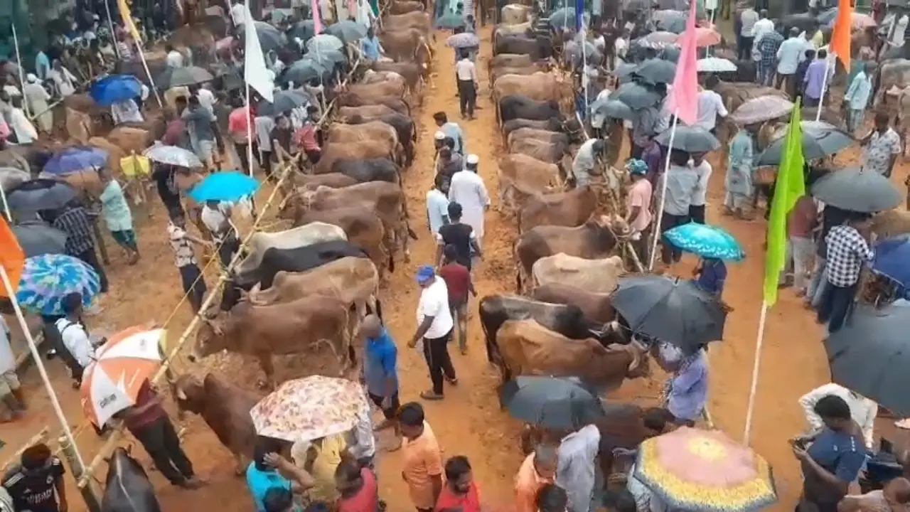 রাজ্যের বিভিন্ন প্রান্ত থেকে বক্সনগরে ছুটে এলেন ব্যবসায়ীরা, ঘিরে ব্যাপক কৌতূহল