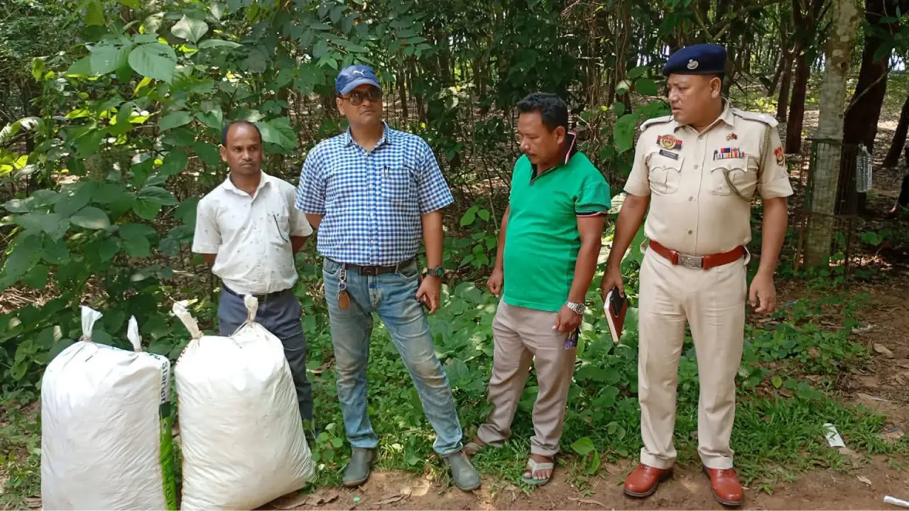 যাত্রীবাহী অটোতে গাঁজা পাচারের চেষ্টা