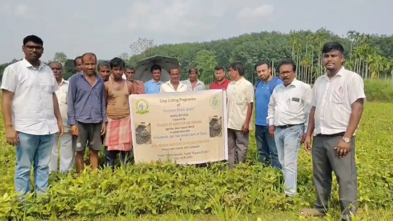ঋষ্যমুখে মাশকলাই ডাল চাষে সাফল্য, কৃষকদের উৎসাহ বাড়াতে মাঠ দিবস কর্মসূচি