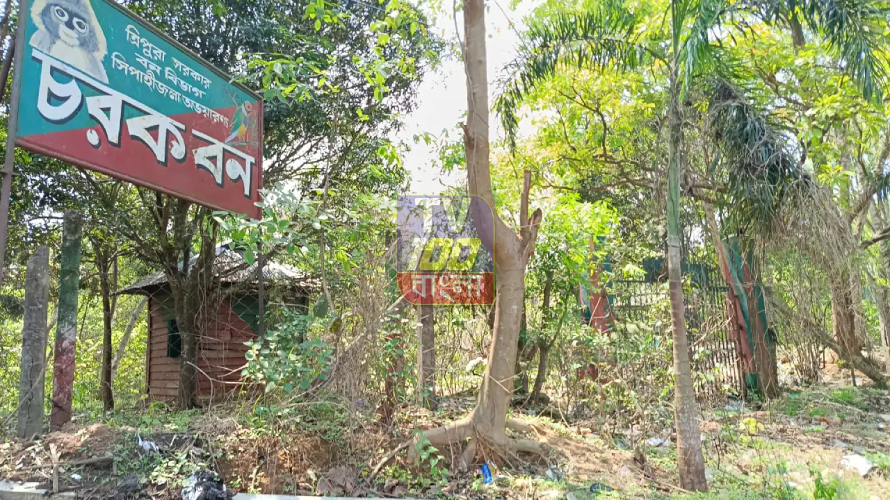 অযত্ন আর অবহেলায় শ্রীহীন বিশালগড়ের ‘চরক বন’: প্রশাসনের ভূমিকা নিয়ে উঠছে প্রশ্ন