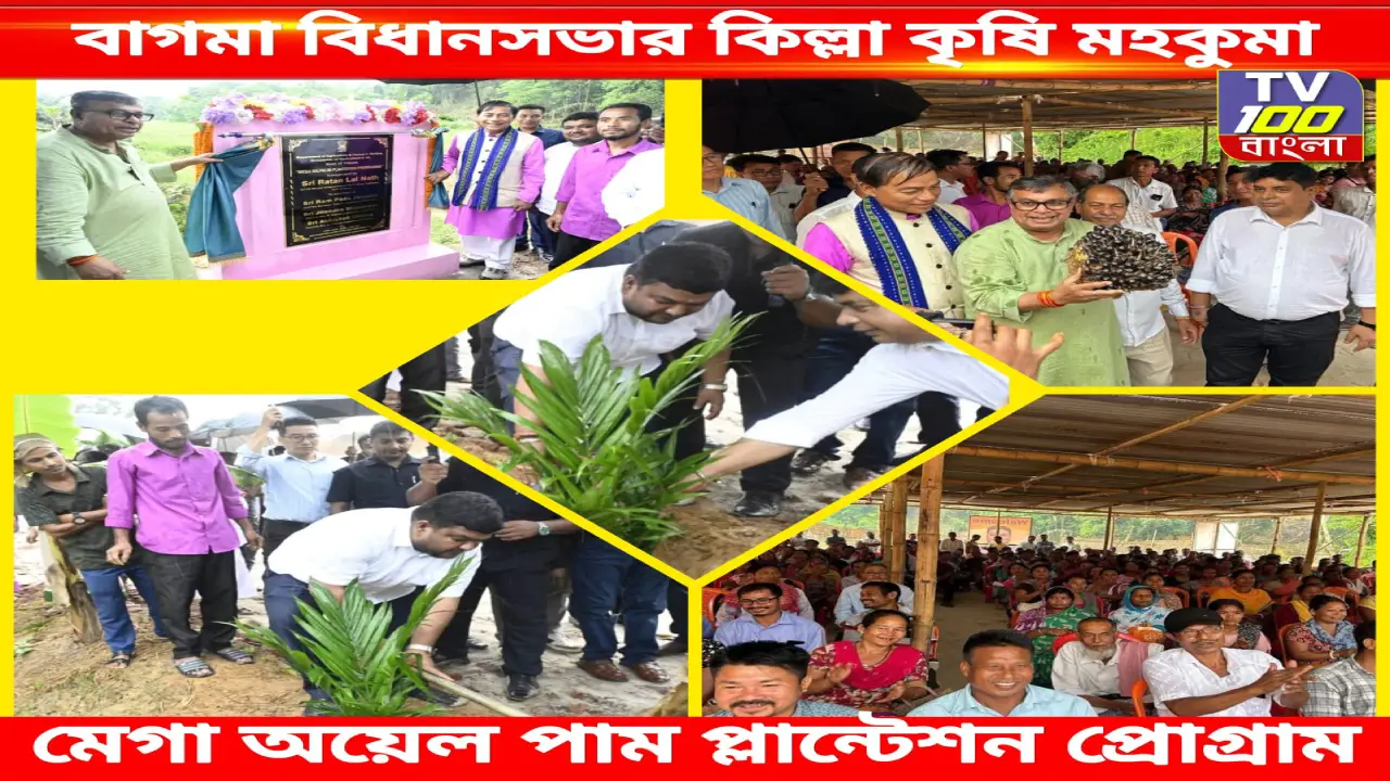মেগা অয়েল পাম প্লান্টেশন প্রোগ্রাম