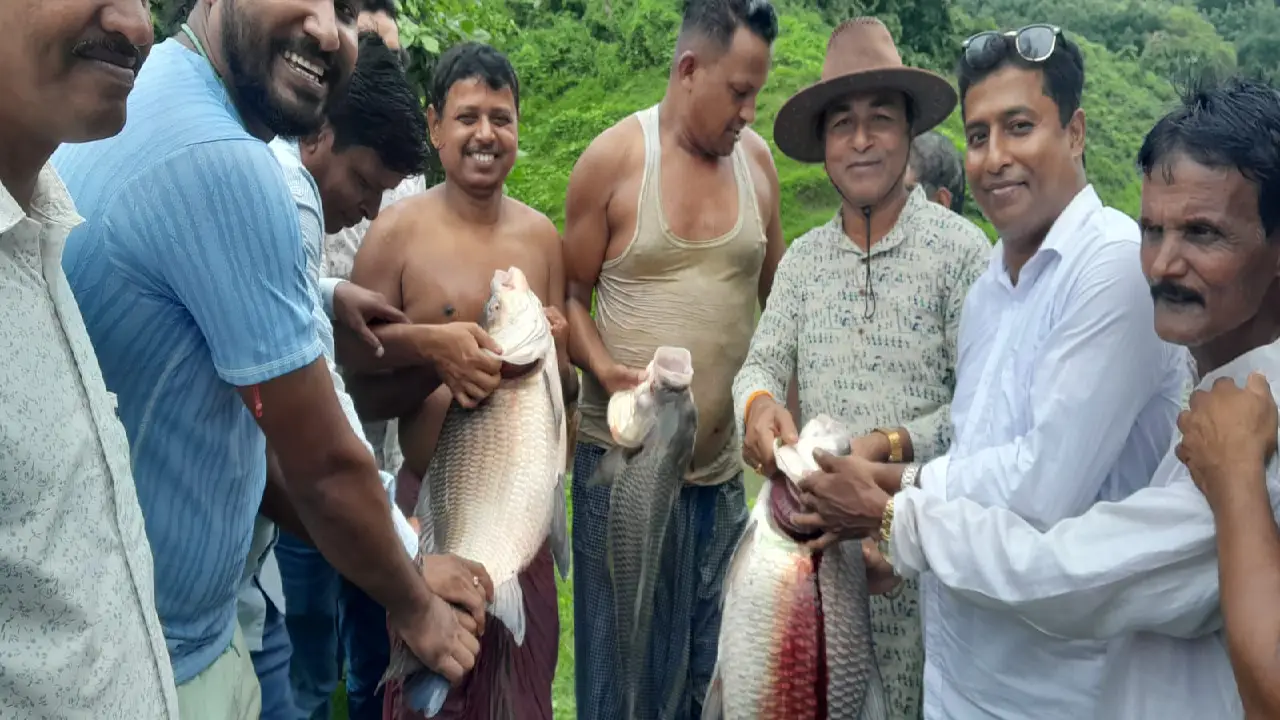 নিজেদের অবস্থান স্পষ্ট করলেন বিজেপির পুরনো কর্মী ও নেতারা।