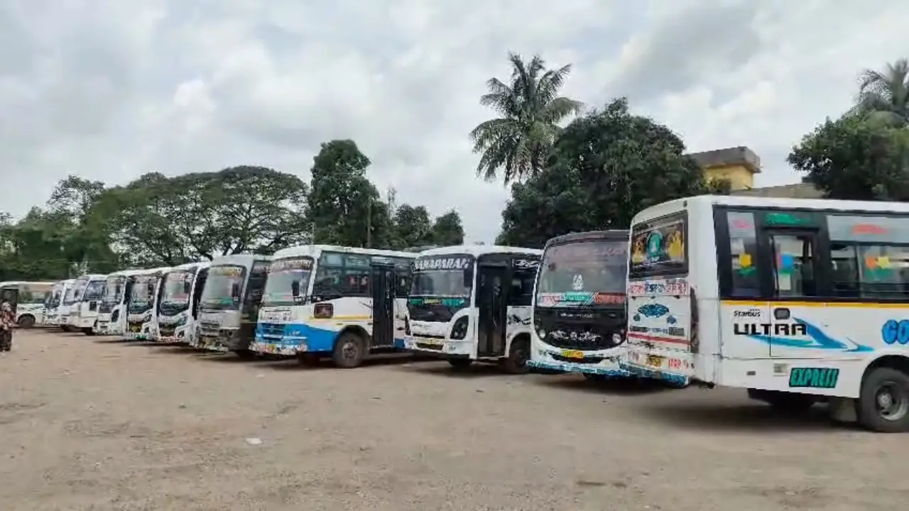 ব্যাটারি চালিত অটোর দৌড়াত্বে ব্যবসা ক্ষেত্রে সমস্যা