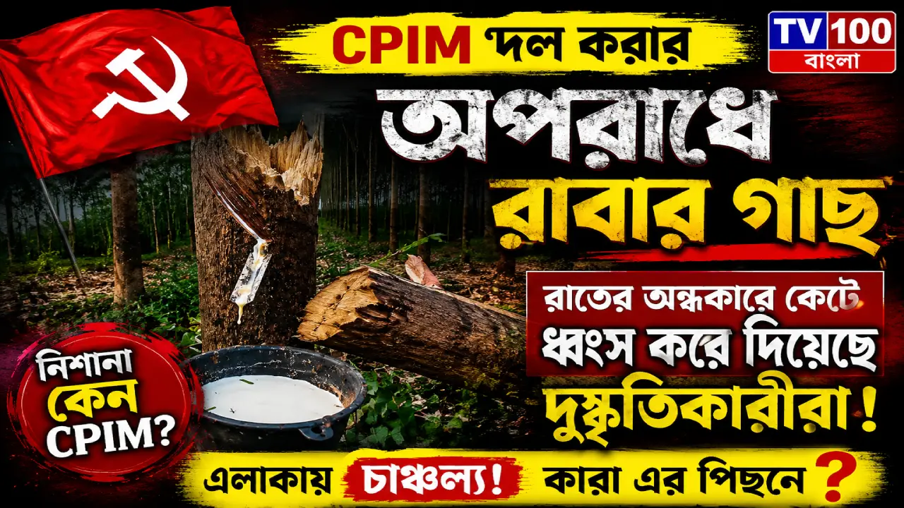 সিপি আই এম দল করার অপরাধে পরপর তিনবার রাবার বাগান কেটে ধ্বংস