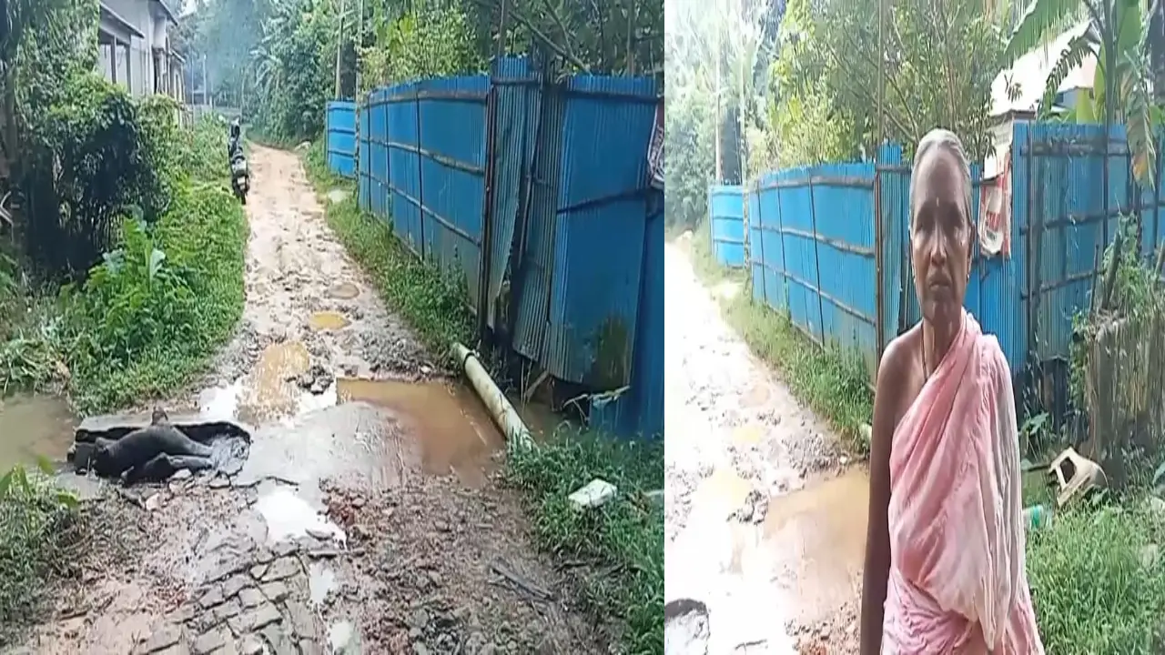 মেরামতের অভাবে মরণ ফাঁদে পরিণত পূর্ব বামুটিয়া রাস্তা