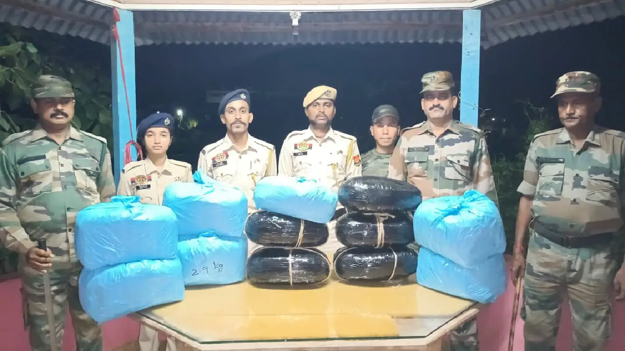 পুলিশের তৎপরতায় উদ্ধার হলো বিপুল পরিমাণ শুকনো গাঁজা।