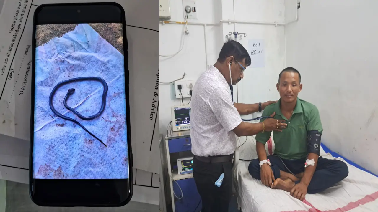 বিষধর সাপের কামড়ে মুখ-চোখ বন্ধ, তীব্র শ্বাসকষ্টে যুবক! গোমতী জেলা হাসপাতালে শুরু হয় কঠিন লড়াই