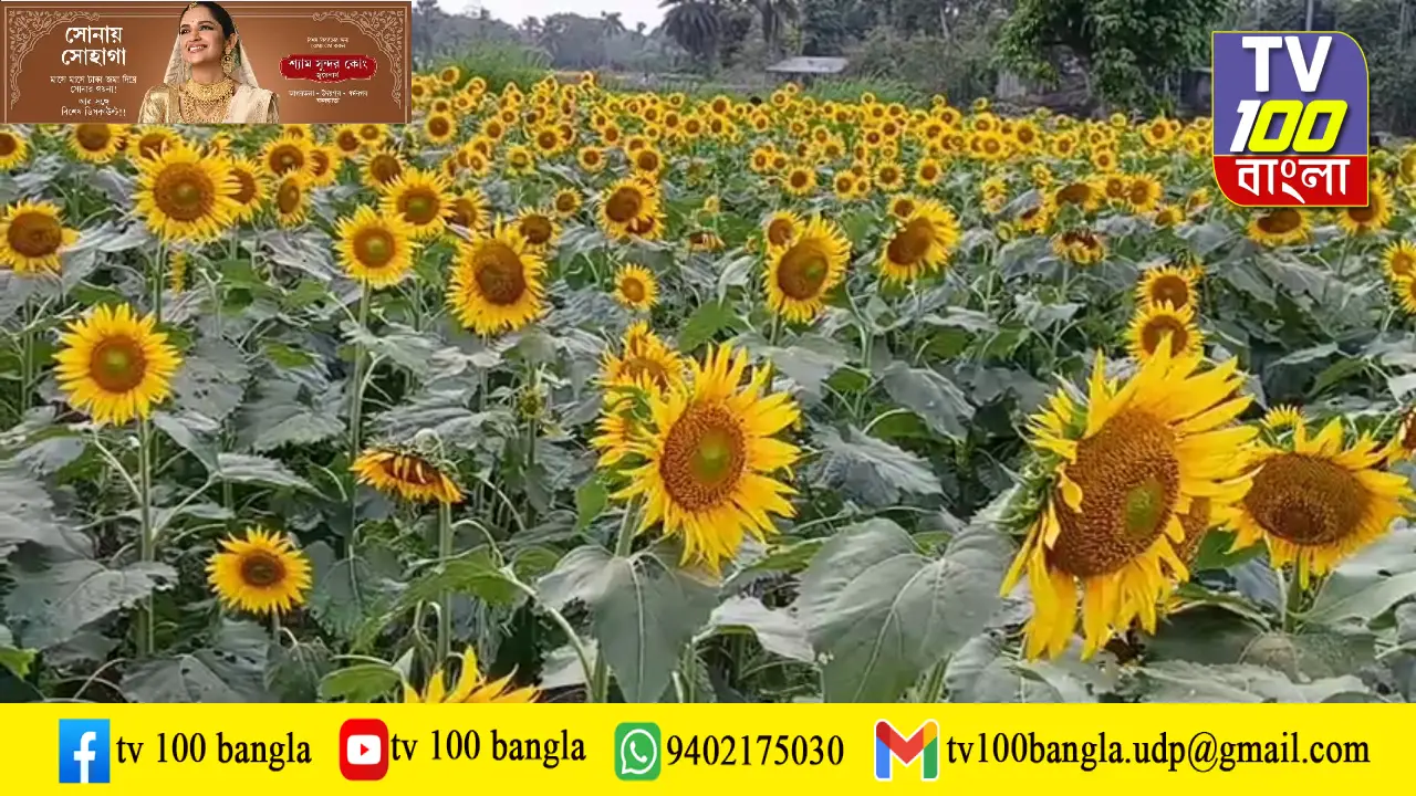 হোটেল ছেড়ে ফুলের বাগান, এ তো হার মানানো সাফল্যের গল্প!