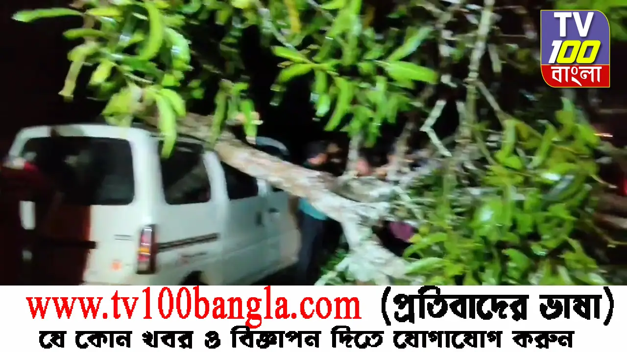 জোলাইবাড়ীতে প্রকৃতির রুদ্ররূপ! গাড়ির ওপর গাছ পড়ে হুলস্থূল কাণ্ড