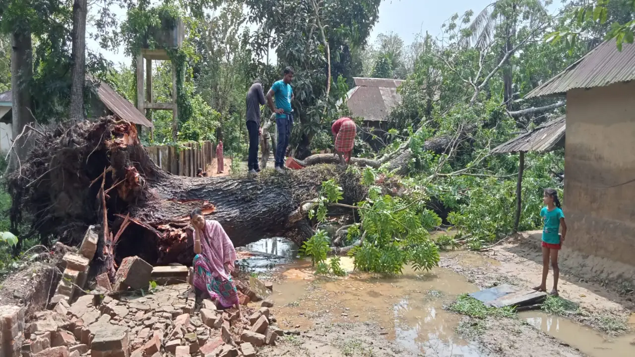 কাঠালিয়ার চেহারা হঠাৎই বদলে গেল! একের পর এক গ্রামে এ কোন বিপদের ছায়া?
