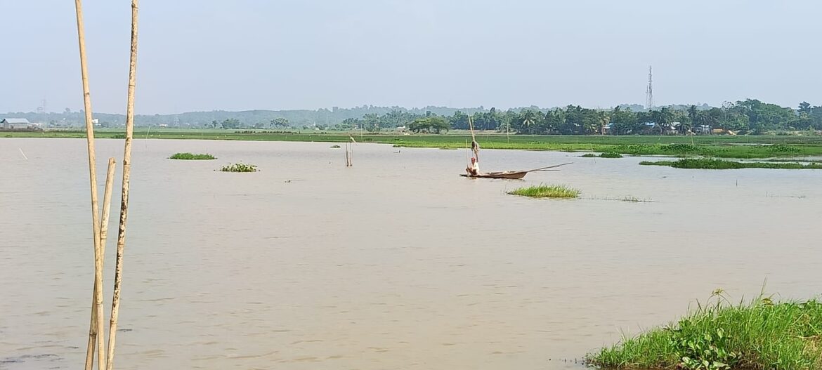 WhatsApp Image 2024-11-14 at 7.15.21 PM