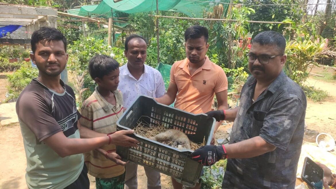 WhatsApp Image 2025-04-15 at 9.33.50 PM