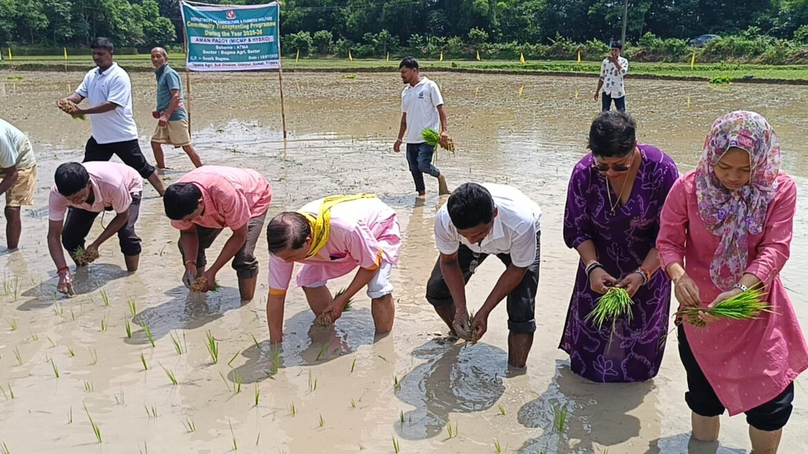 WhatsApp Image 2025-07-18 at 10.13.36 PM