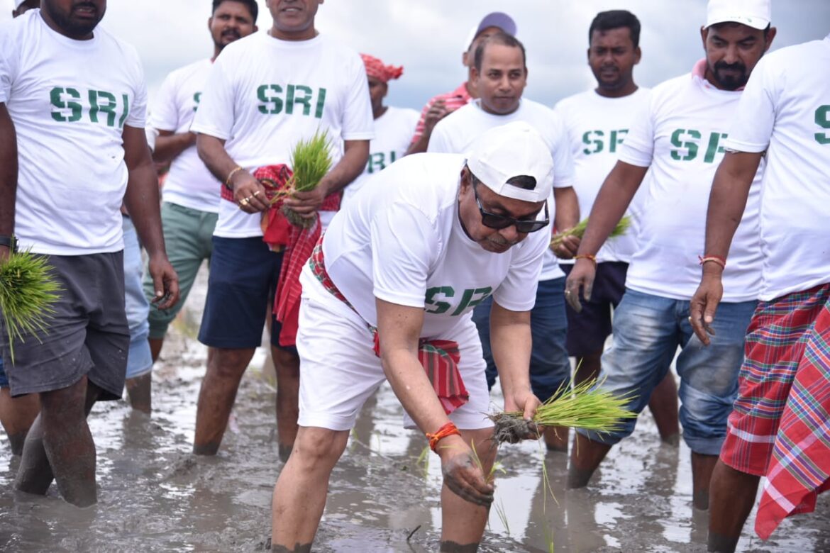 WhatsApp Image 2025-07-31 at 9.41.17 PM